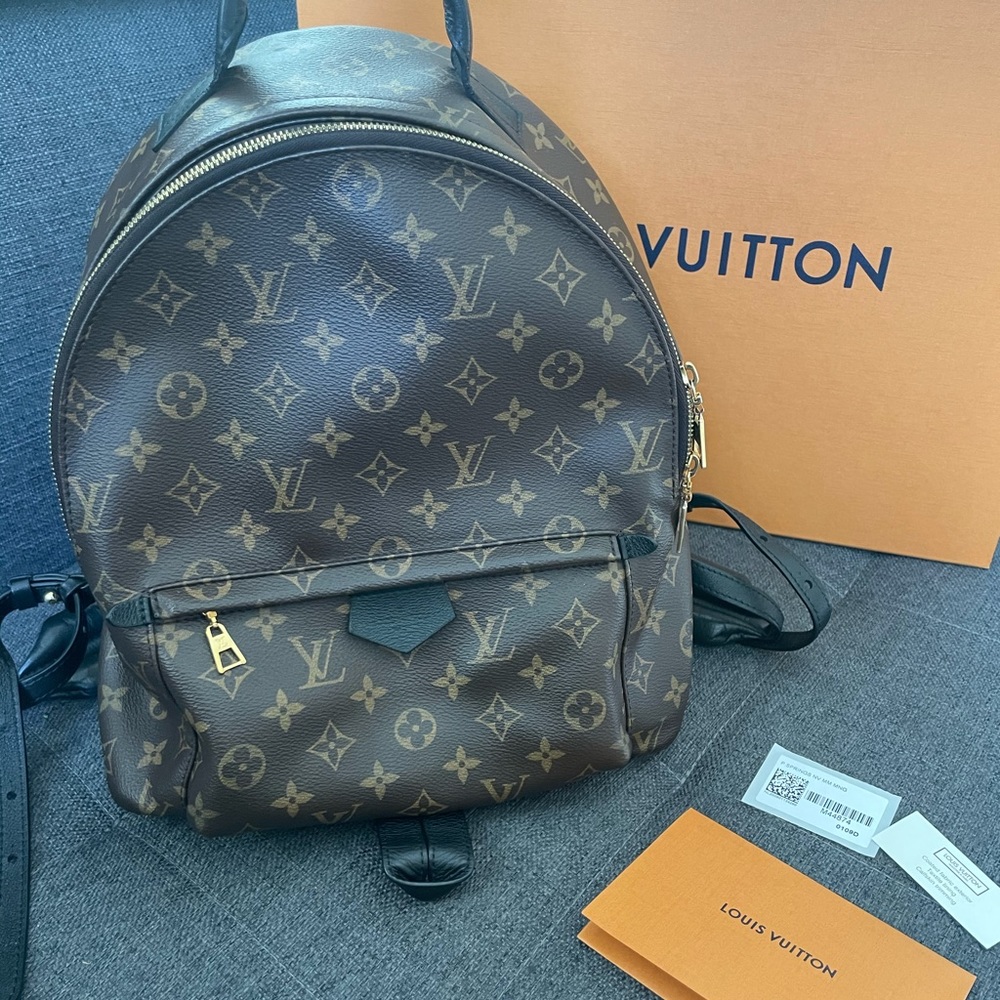 Louis Vuitton monogram Palm Springs backpack MM